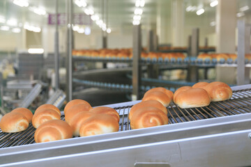 パン工場のコンベアを流れる焼きたてのロールパン