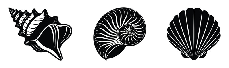 Group of snail shell vector silhouette