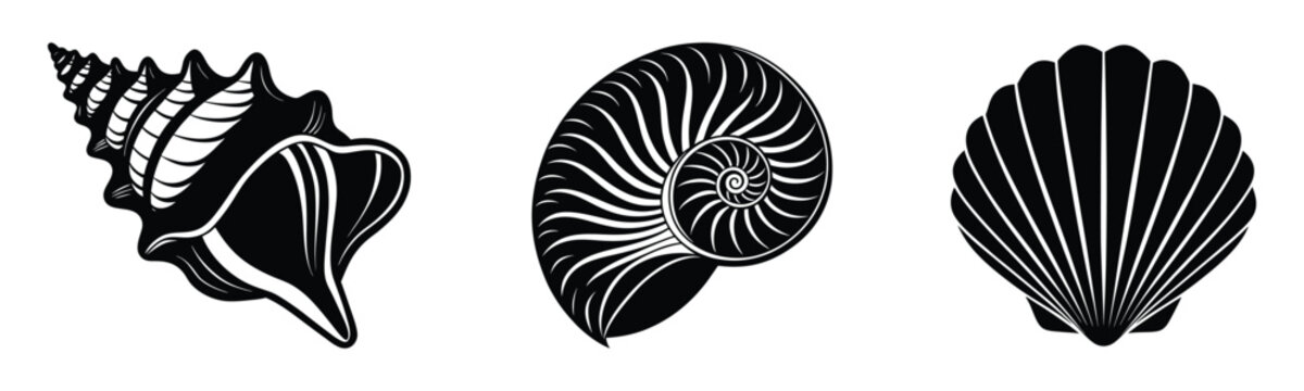 Group of snail shell vector silhouette