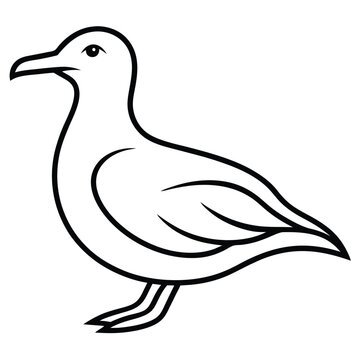 recommend clip art: Seagull bird silhouette line art on white background, vector illustration