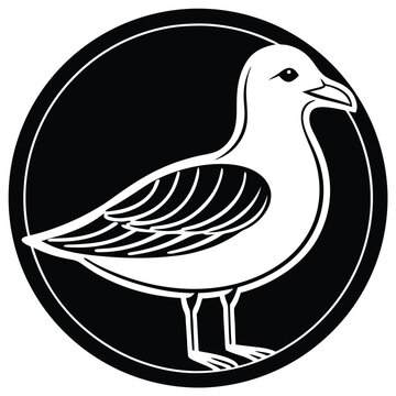recommend clip art: Seagull bird silhouette line art on white background, vector illustration