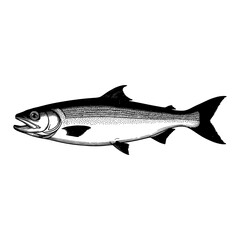 Detailed Black and White Engraved Illustration of a Herring Fish in Retro Style Art