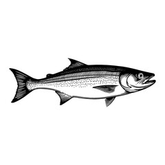 Detailed Black and White Illustration of a Mackerel Fish in Retro Engraving Style Art
