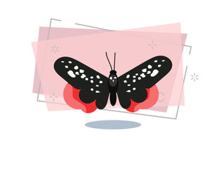 Catocala butterfly isolated vector. Black butterfly with white spots and red underwings. Insects concept. Vector can be used for topics like nature, biology, fauna