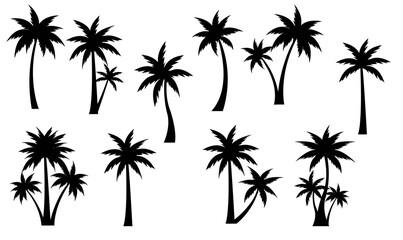 Obraz premium Tropical Palm Tree Border And Isolated White Background