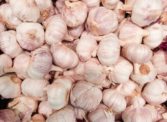 close-up of a garlic background in a vegetable market, lots of garlic heads