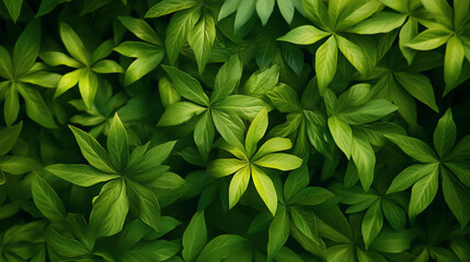 Fototapeta premium Zielona roślinność emanuje życiem i świeżością, tworząc bogaty, naturalny krajobraz. Liście o różnych kształtach i odcieniach zieleni splatają się ze sobą, tworząc gęsty, soczysty dywan.