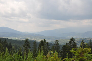 Ukrainian Carpathians landscape with mountains trees and clouds