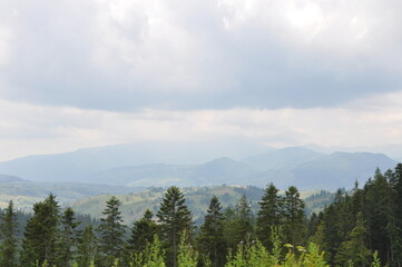 Ukrainian Carpathians landscape with mountains trees and clouds