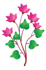 Fototapeta premium Cyclamen Branch with Flowers Vector Illustration on White Background