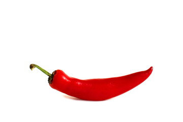One red chili pepper lies on a white background.