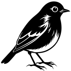 illustration of a bird on white background 