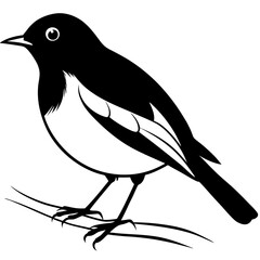 black and white bird on white background 