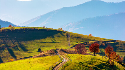 carpathian countryside on a sunny autumn day. path through rural fields and grassy hill at high...