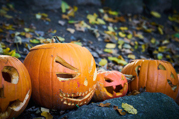 Kürbisse mit Gesichtern als Dekoration zum Fest Halloween in einem Garten