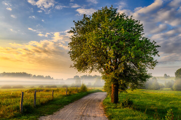 Naklejka premium beautiful misty morning over the countryside road