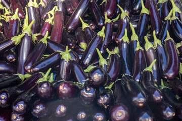  eggplants and zucchini on a bazaar counter