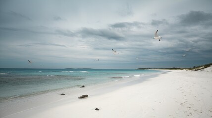 Beach