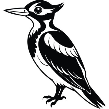 recommend clip art: Silhouette line art design Woodpecker Symbol Logo. Vector Illustration.