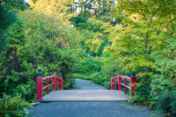 Obraz premium path in the garden