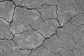 Wall texture soil dry crack pattern of drought lack of water of nature brown old broken background.