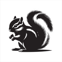 Silhouette image of a Chipmunk white background