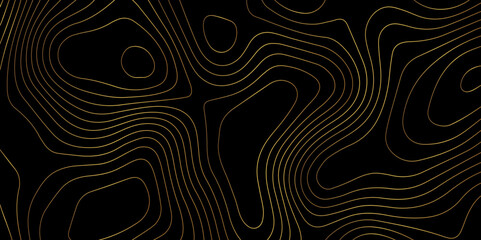 Fototapeta premium Abstract wave paper curved reliefs background .gradient multicolor wave curve lines banner background design .topographic contours map background .Vector geographic contour map. 