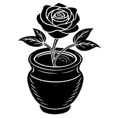 rose in a vase