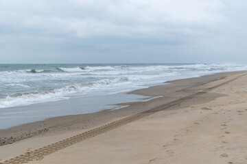 rough tire tracks on the north sea beach