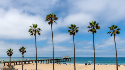 Palm trees at Manhattan Beach and pier at sunny day in Los Angeles, California.. Fashion travel and tropical beach concept.	