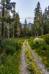 Fototapeta premium Scenic Forest Trail in Hope, BC, Canada with Mountain View and Lush Greenery