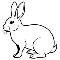 rabbit silhouette on white background