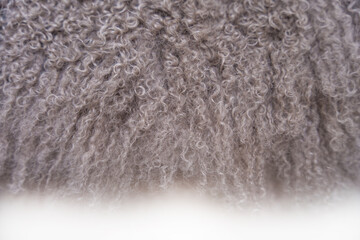 Soft texture of a Mongolian sheepskin fur coat in grey tones