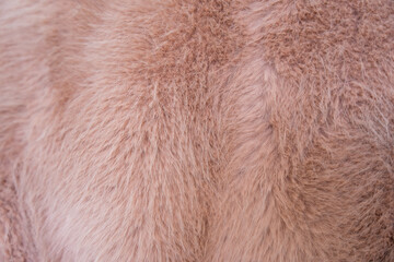 Soft texture of a faux fur coat in warm peach fuzz tones