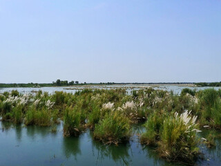 Chashma Barrage Wetlands
Massive Wetland complex in Pakistan. Comprises Indus River, its lakes, islands, sandbars etc. A great wintering ground for migratory Waterfowls in Pakistan and other wildlife.