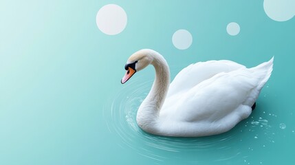 Fototapeta premium A serene white swan floating peacefully on a teal background with minimalistic abstract shapes, creating a calm and elegant visual.