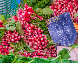 Radishes in an Outdoor Market in Aix-en-Provence