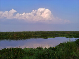 The Indus River. 
Pakistan's lifeline, harboring the ancient Indus Valley Civilization and nurturing diverse wildlife, flora, and vital migratory bird habitats along the Indus Flyway Zone.
