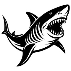 shark illustration