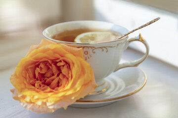 Cup of tea with orange and small pumpkins on white table, September.