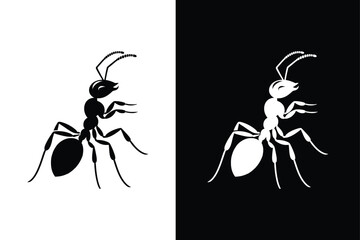 Ants silhouette illustration color Icon on White and black Vector Backgrounds.