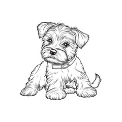 Cute puppy lined art for kid coloring page
