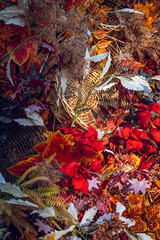 Multi-colored autumn background from different leaves and pumpkins. 