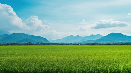 Fototapeta premium Serene Landscape with Mountains and Green Fields