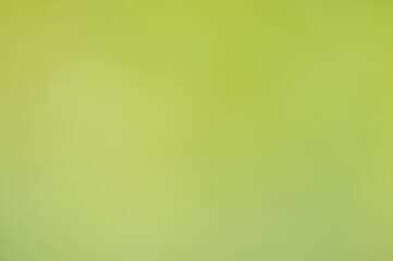 Abstract blurred green nature background.
