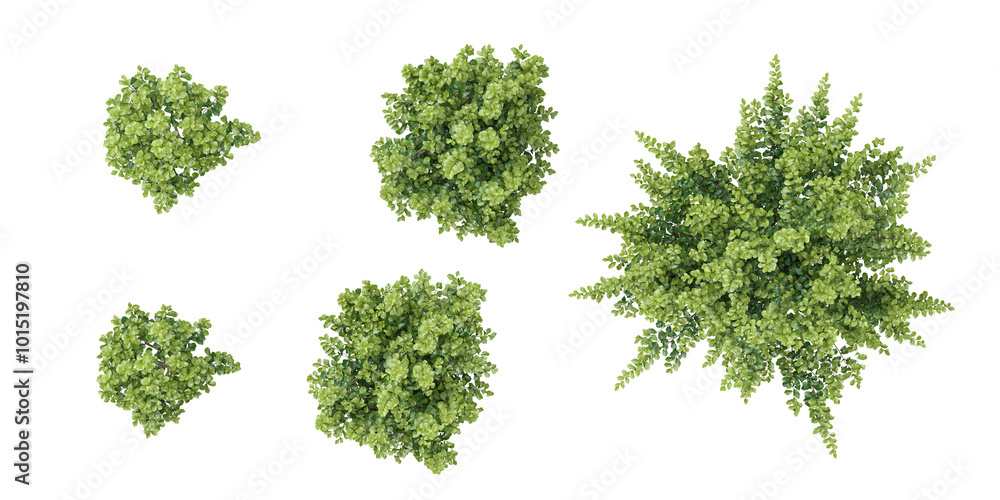Poster 3d rendering of closeup bullet wood trees on transparent background from top view