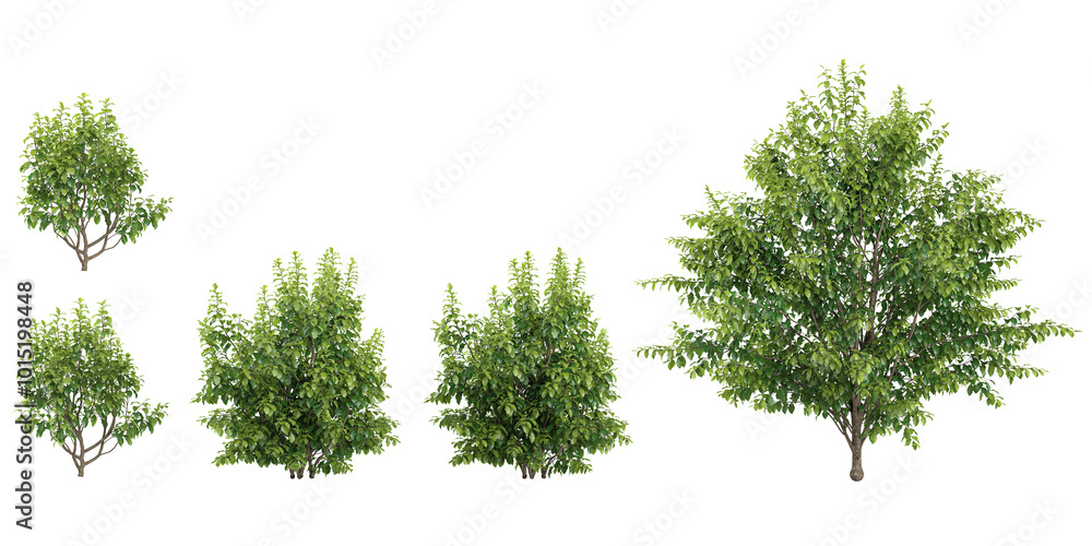 Poster 3d rendering of closeup bullet wood trees on transparent background