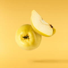 Fresh ripe yellow Quince fruit  falling in the air isolated on yellow background. Food levitation...