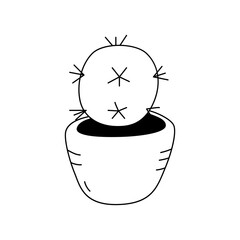 Vector illustration of a cactus in the doodle style. Isolate on a white