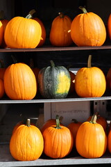 Pumpkins waiting to be bought, pumpkin rack